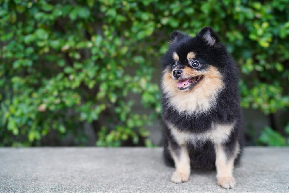 手元供養って、こういうことかも