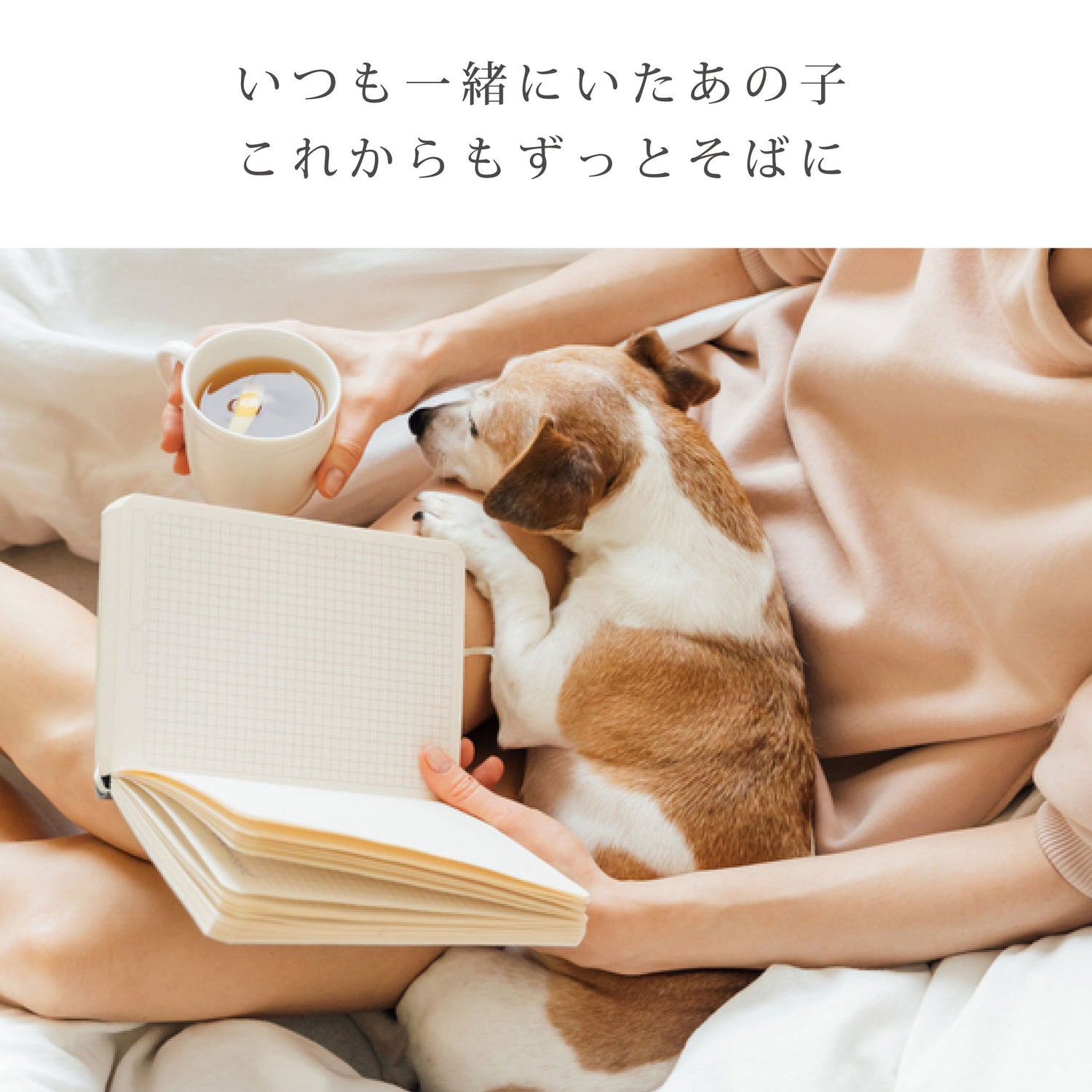 遺骨ペンダント（ミニハート）ASHIPET