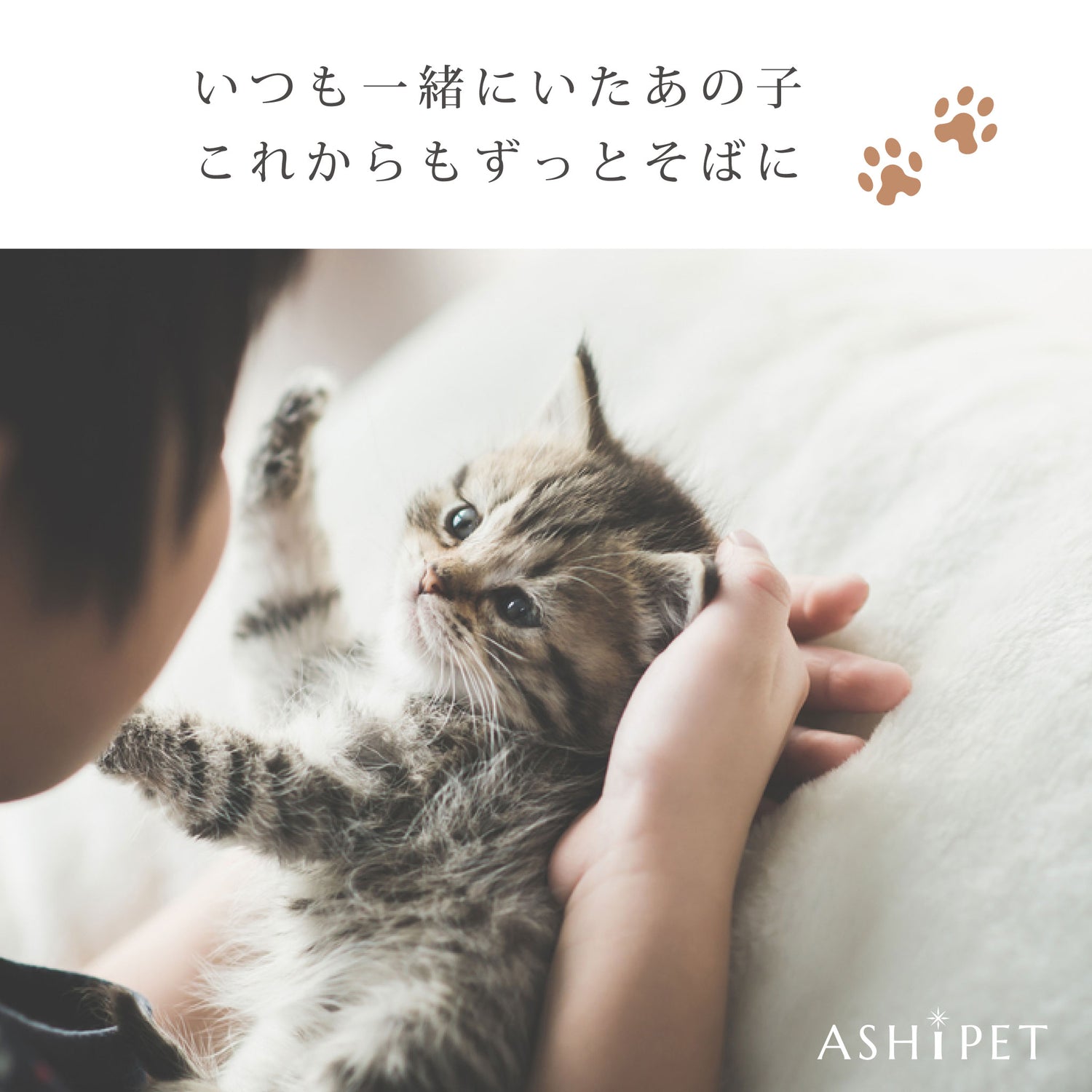 遺骨ペンダント（ストーンハート）ASHIPET